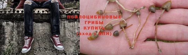 индика Алзамай
