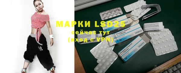 мдпв Козловка