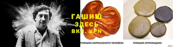 индика Алзамай