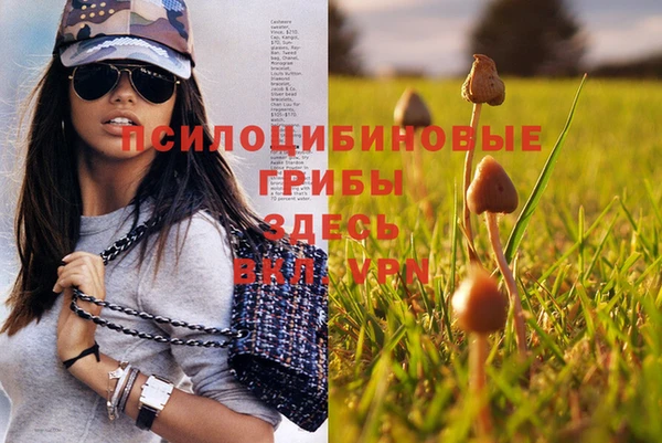 Альфа ПВП Кодинск