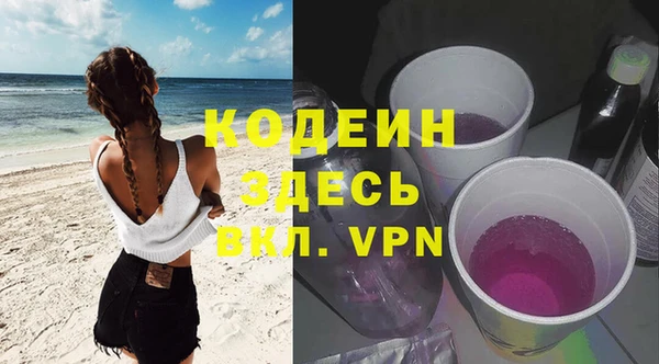 индика Алзамай