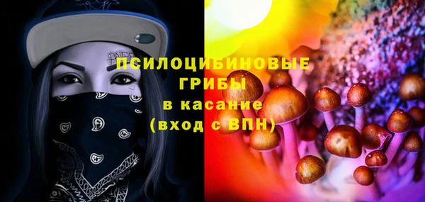 бошки Алексеевка