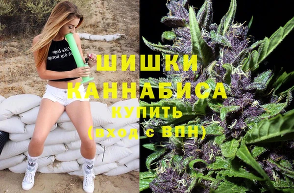 индика Алзамай