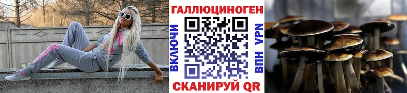 Галлюциногенные грибы Psilocybe  Аргун 